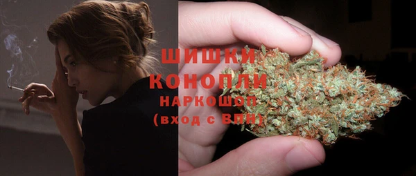 сатива Абдулино