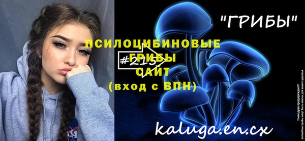 сатива Абдулино