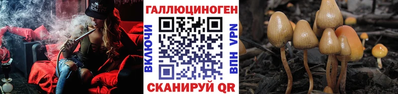 Псилоцибиновые грибы мицелий  Абдулино 