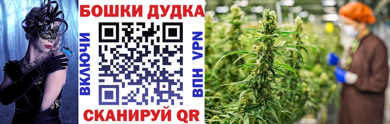 Бошки марихуана SATIVA & INDICA Абдулино
